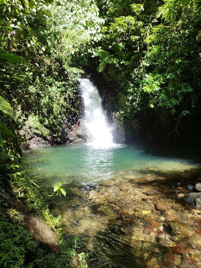 Pozas Y Cascadas La Presa Río Cuarto Buitenkant foto